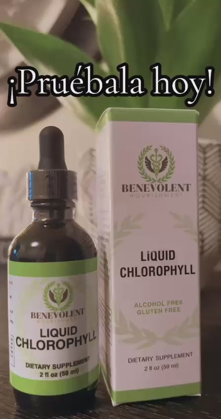 Clorofila Líquida | Bienestar y Vitalidad Diaria 🌿
